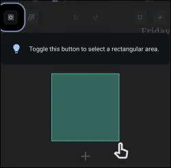 Selection Icon