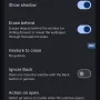 section-window-options-dialog-v4.webp