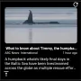 ui-widget-rss_reader-image-v4.webp